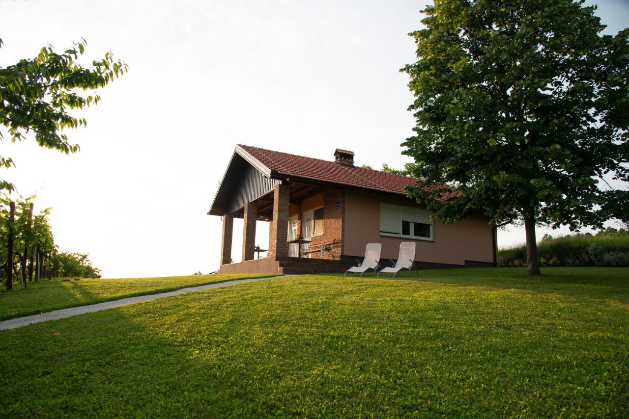 Guest House Blazevic Gornja Gracenica Kültér fotó