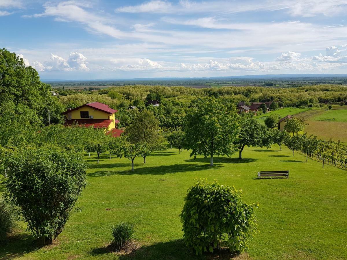 Guest House Blazevic Gornja Gracenica Kültér fotó